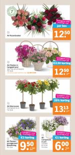 Albert Heijn reclame folder week 19 pagina.33 