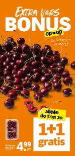 Albert Heijn reclame folder week 25 pagina.7 
