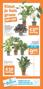 Albert Heijn reclame folder week 02, pagina.37