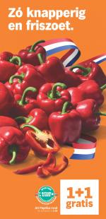 Albert Heijn reclame folder week 21, pagina.13