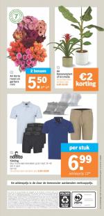 Albert Heijn reclame folder week 23, pagina.31