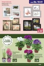 Aldi reclame folder week 03, pagina.21