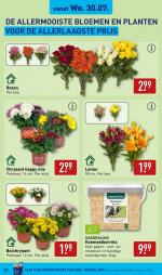 Aldi reclame folder week 31, pagina.33