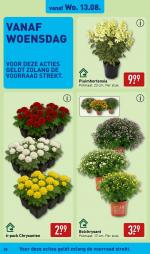 Aldi reclame folder week 33, pagina.28