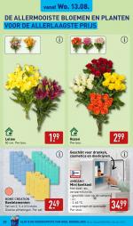 Aldi reclame folder week 33, pagina.29