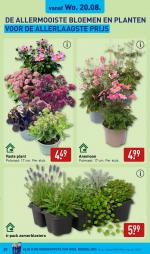 Aldi reclame folder week 34, pagina.29