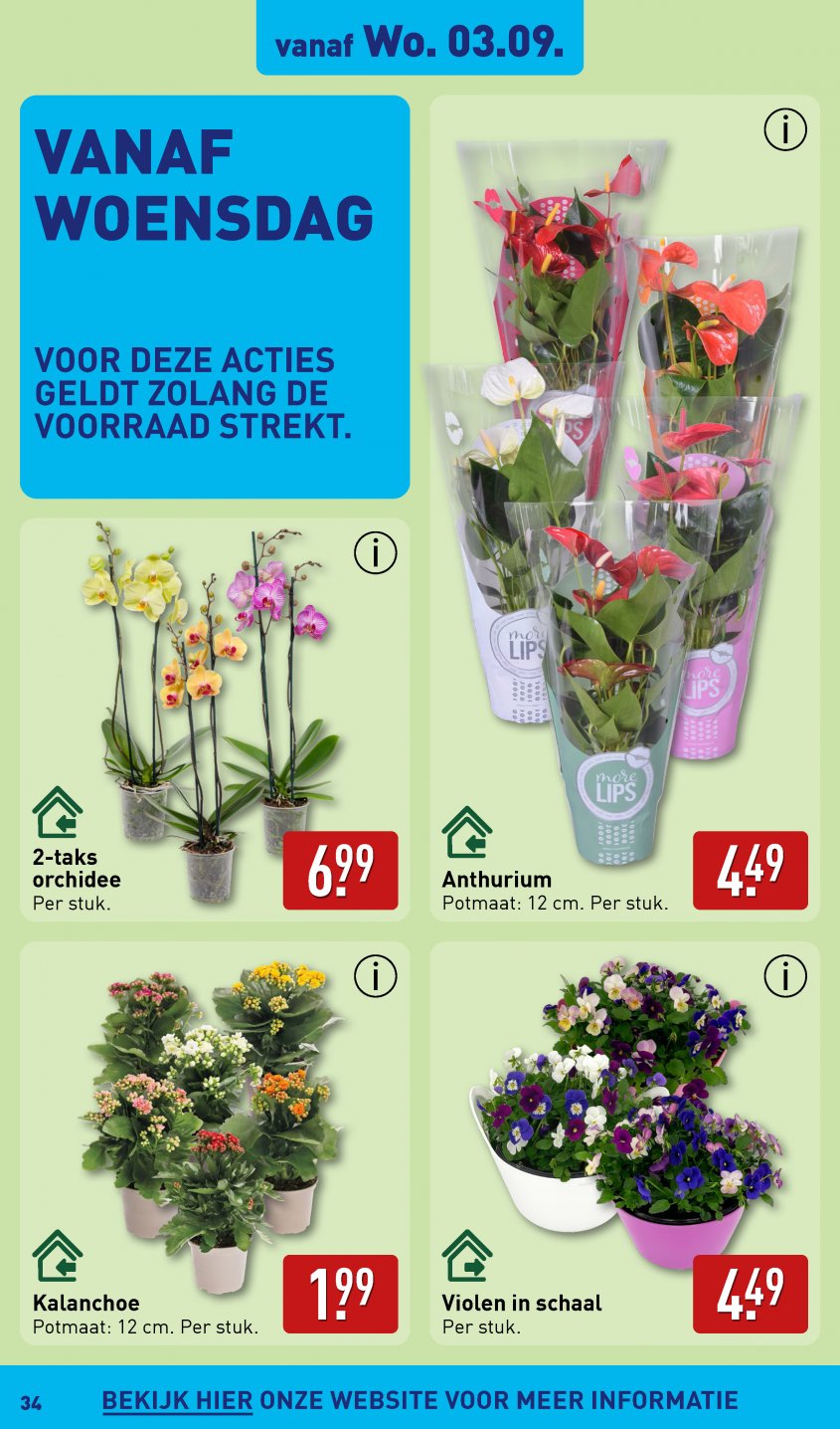 Aldi Aanbiedingen van 01-09-2025 pagina.34