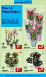 Aldi reclame folder week 36, pagina.34