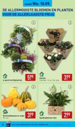 Aldi reclame folder week 37, pagina.33