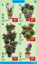 Aldi reclame folder week 03, pagina.29