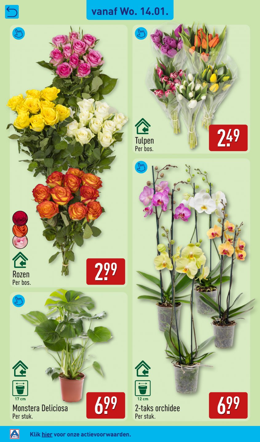 Aldi Aanbiedingen van 12-01-2026 pagina.30