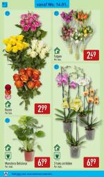 Aldi reclame folder week 03, pagina.30