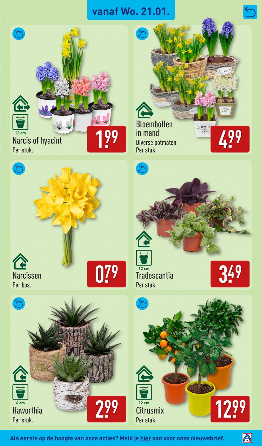 Aldi Aanbiedingen van 19-01-2026 pagina.27