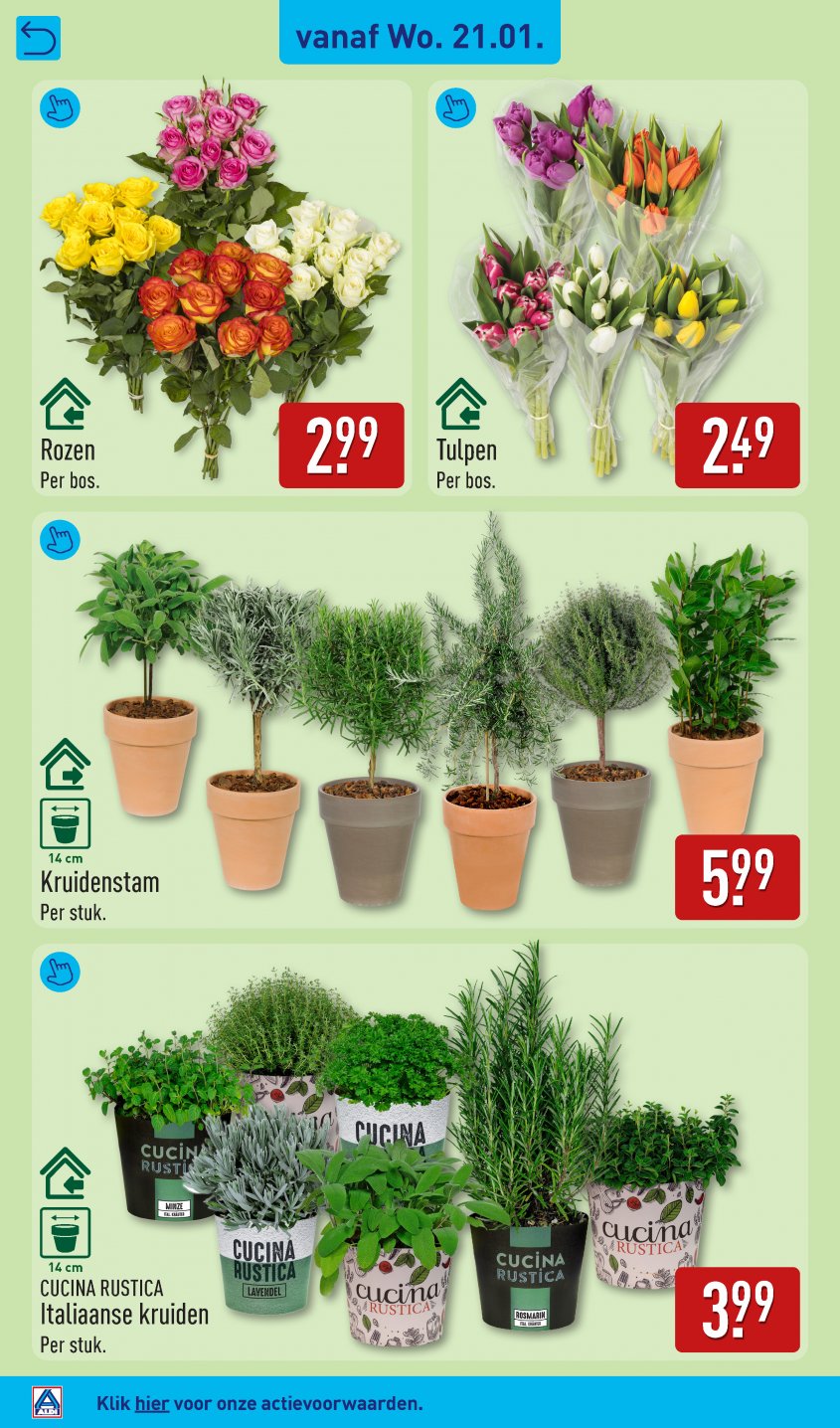 Aldi Aanbiedingen van 19-01-2026 pagina.28