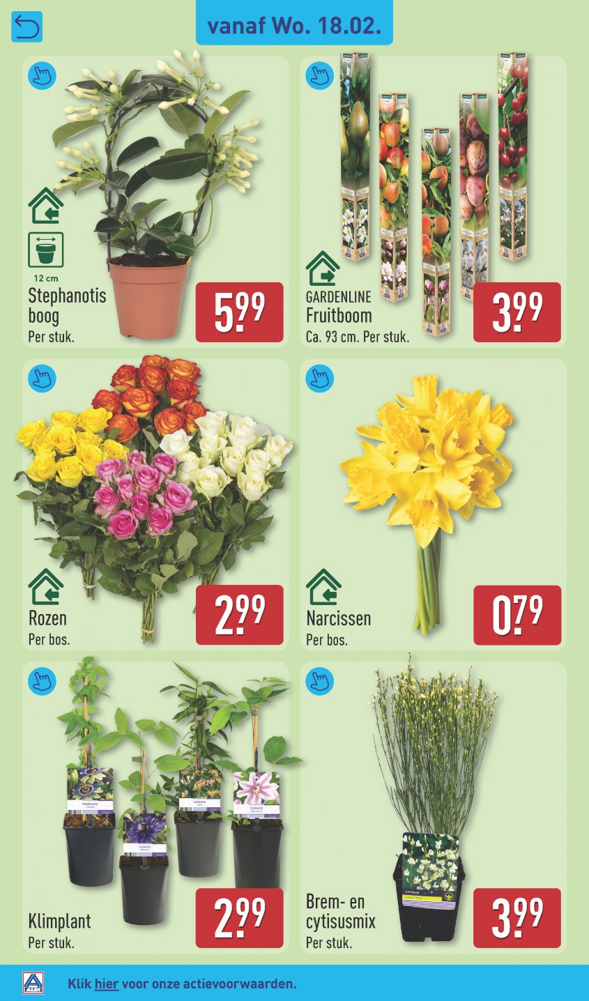 Aldi Aanbiedingen van 16-02-2026 pagina.36