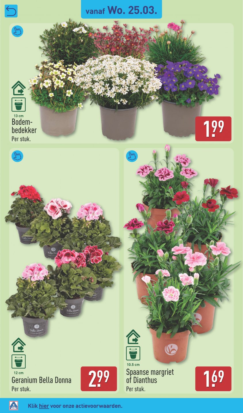 Aldi Aanbiedingen van 23-03-2026 pagina.40