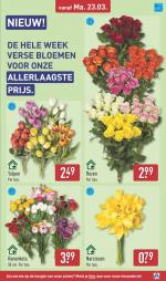 Aldi reclame folder week 13, pagina.39
