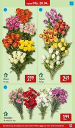 Aldi reclame folder week 17, pagina.33