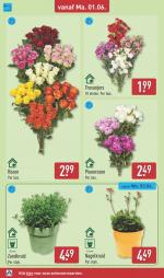 Aldi reclame folder week 23, pagina.36