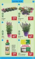 Aldi reclame folder week 23, pagina.37