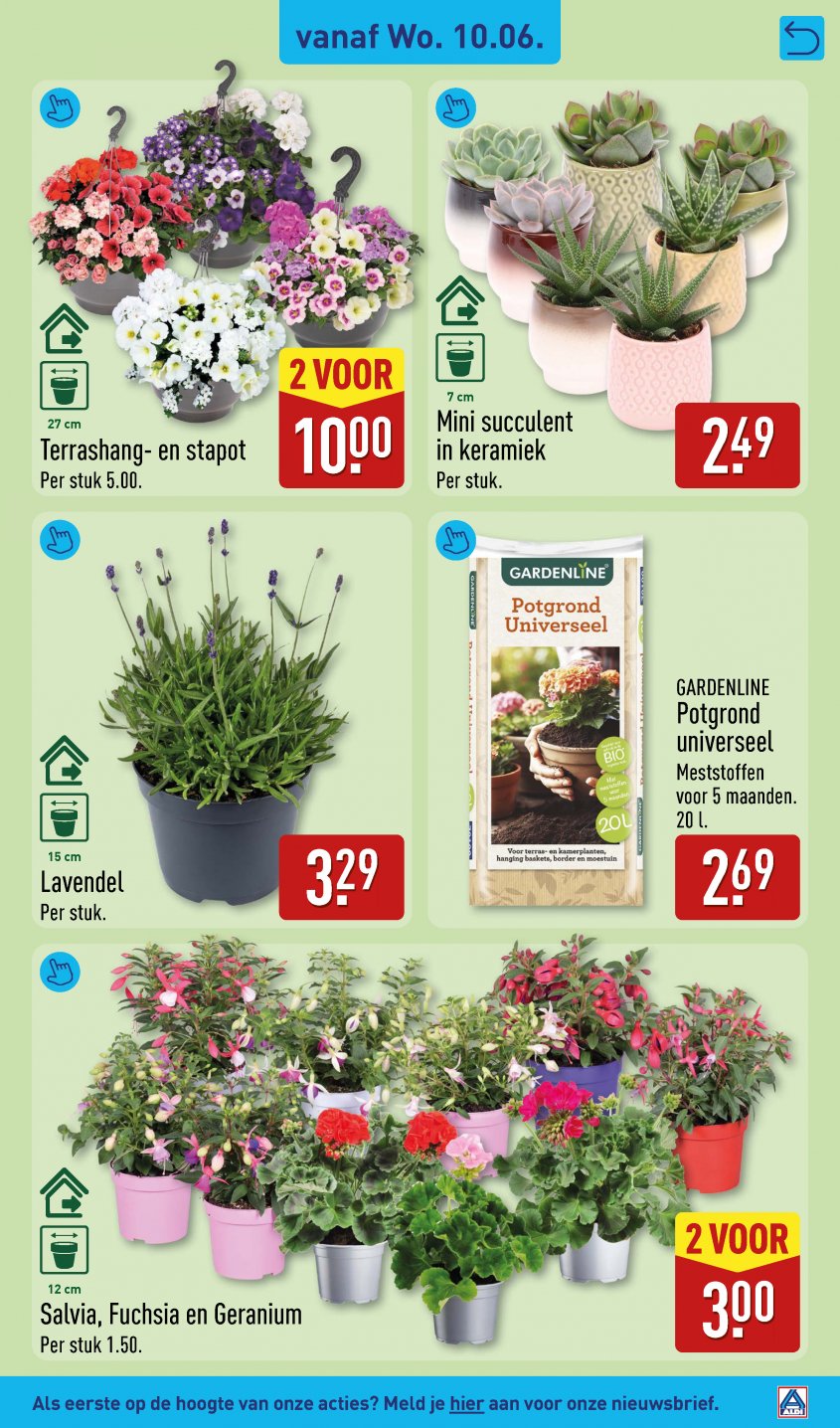 Aldi Aanbiedingen van 08-06-2026 pagina.31