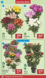 Aldi reclame folder week 24, pagina.30