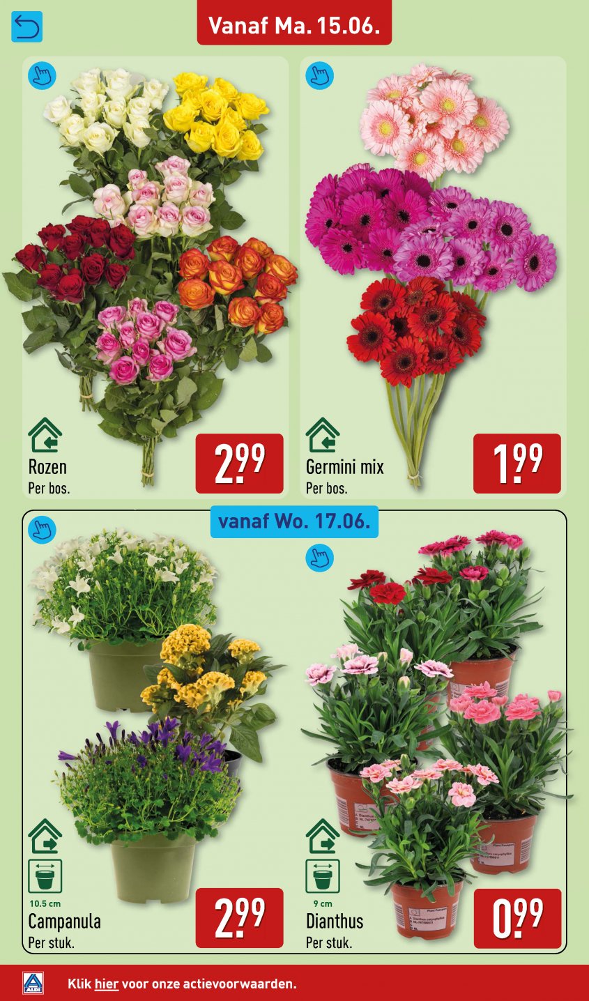Aldi Aanbiedingen van 15-06-2026 pagina.40