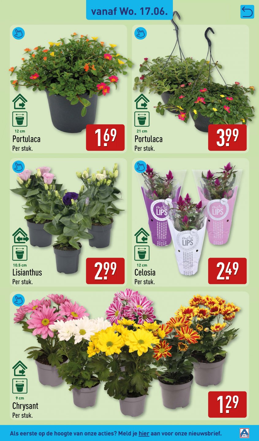 Aldi Aanbiedingen van 15-06-2026 pagina.41