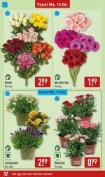 Aldi reclame folder week 25, pagina.40