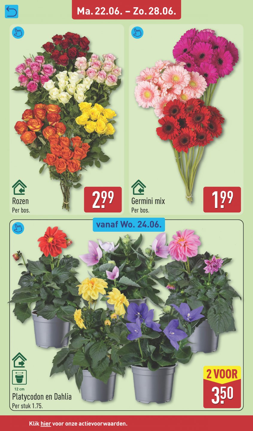 Aldi Aanbiedingen van 22-06-2026 pagina.38
