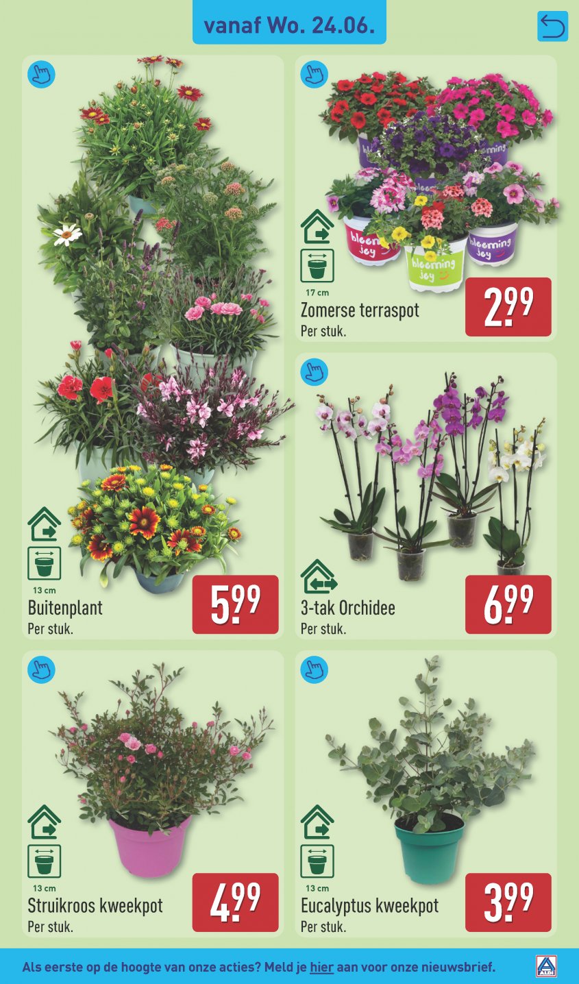Aldi Aanbiedingen van 22-06-2026 pagina.39