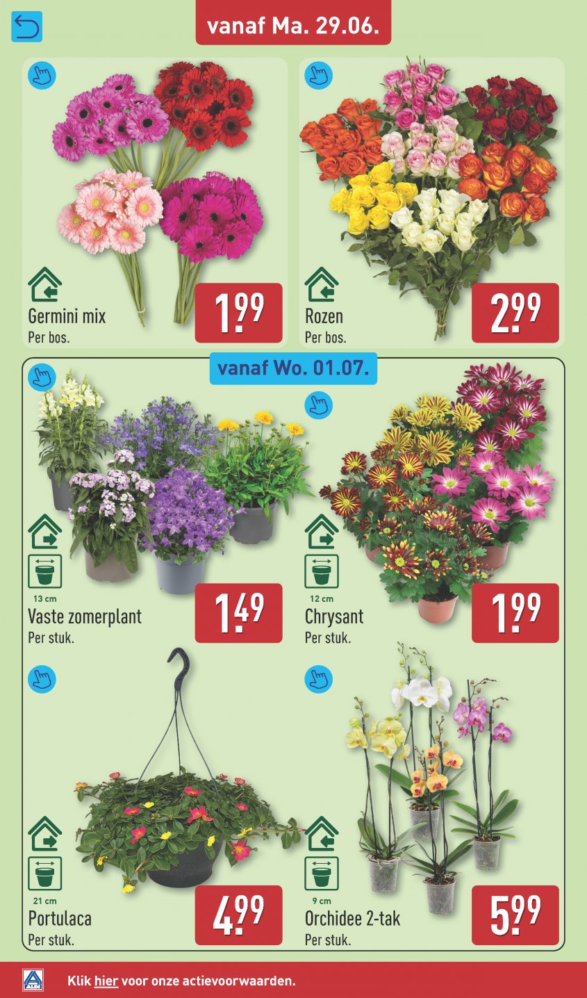 Aldi Aanbiedingen van 29-06-2026 pagina.32
