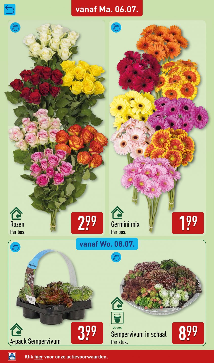 Aldi Aanbiedingen van 06-07-2026 pagina.36
