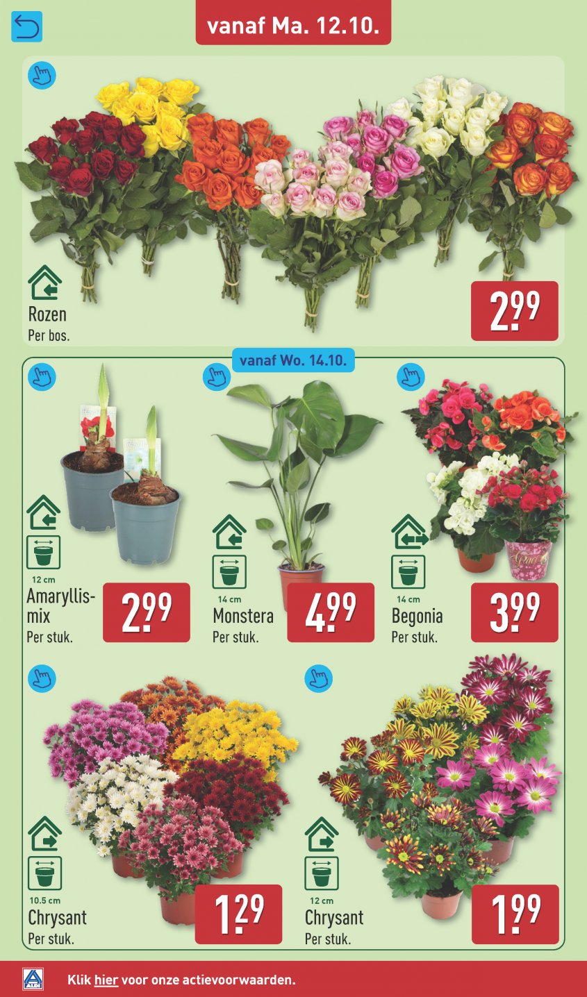 Aldi Aanbiedingen van 12-10-2026 pagina.36