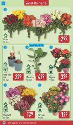 Aldi reclame folder week 42, pagina.36