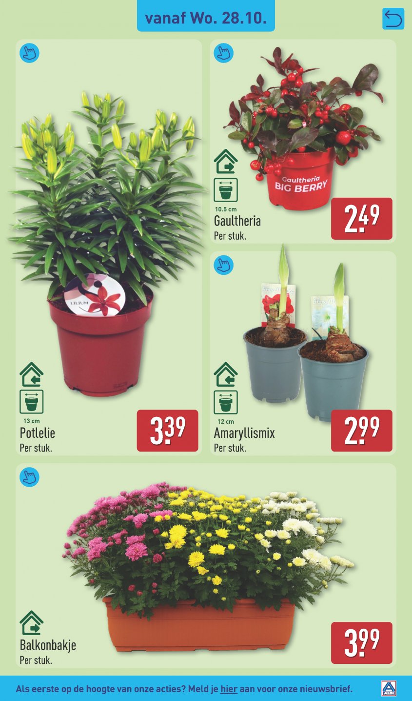 Aldi Aanbiedingen van 26-10-2026 pagina.37