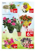 Deen reclame folder week 22, pagina.19