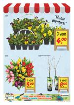 Deen reclame folder week 11 pagina.15 