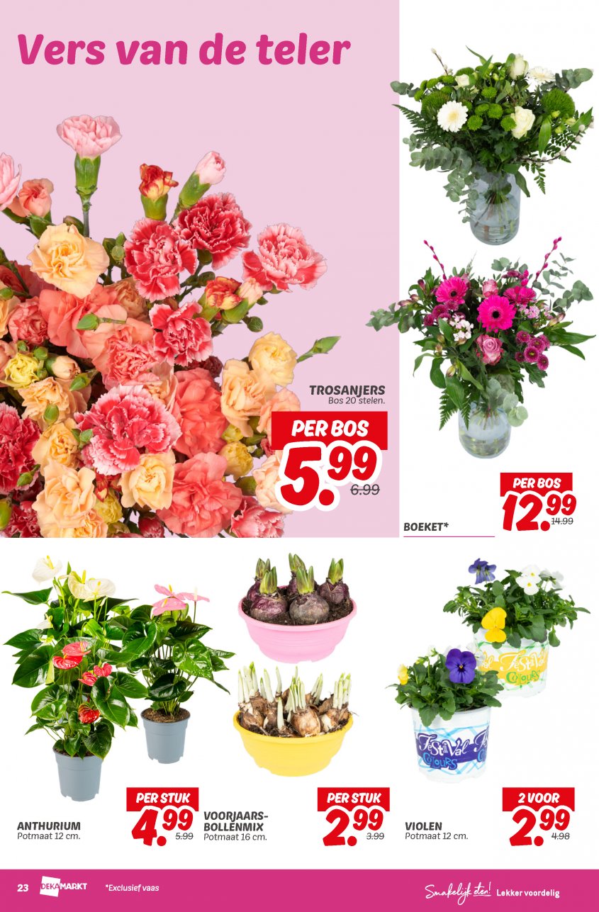 DekaMarkt Aanbiedingen van 25-02-2025 pagina.25