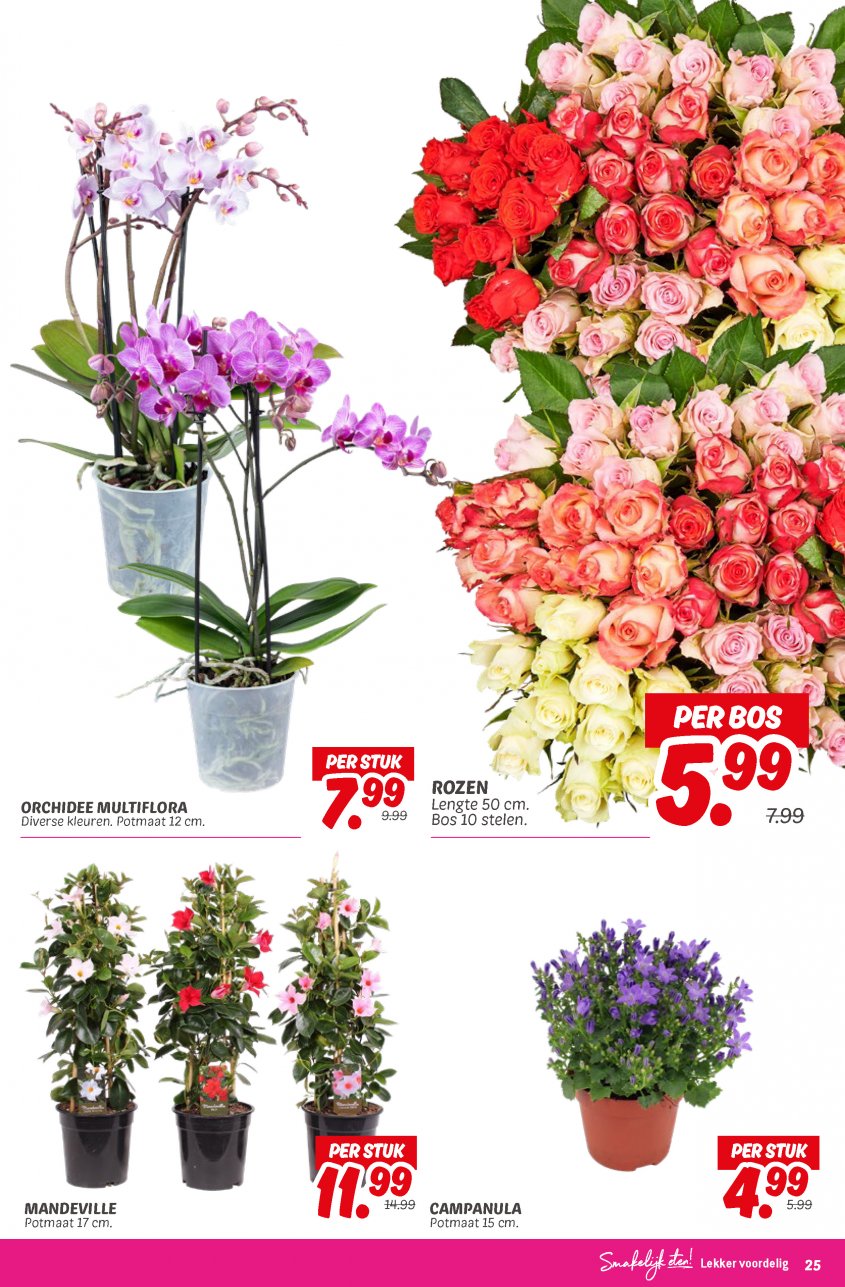 DekaMarkt Aanbiedingen van 08-04-2025 pagina.27