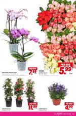 DekaMarkt reclame folder week 15, pagina.27