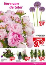 DekaMarkt reclame folder week 21 pagina.27 