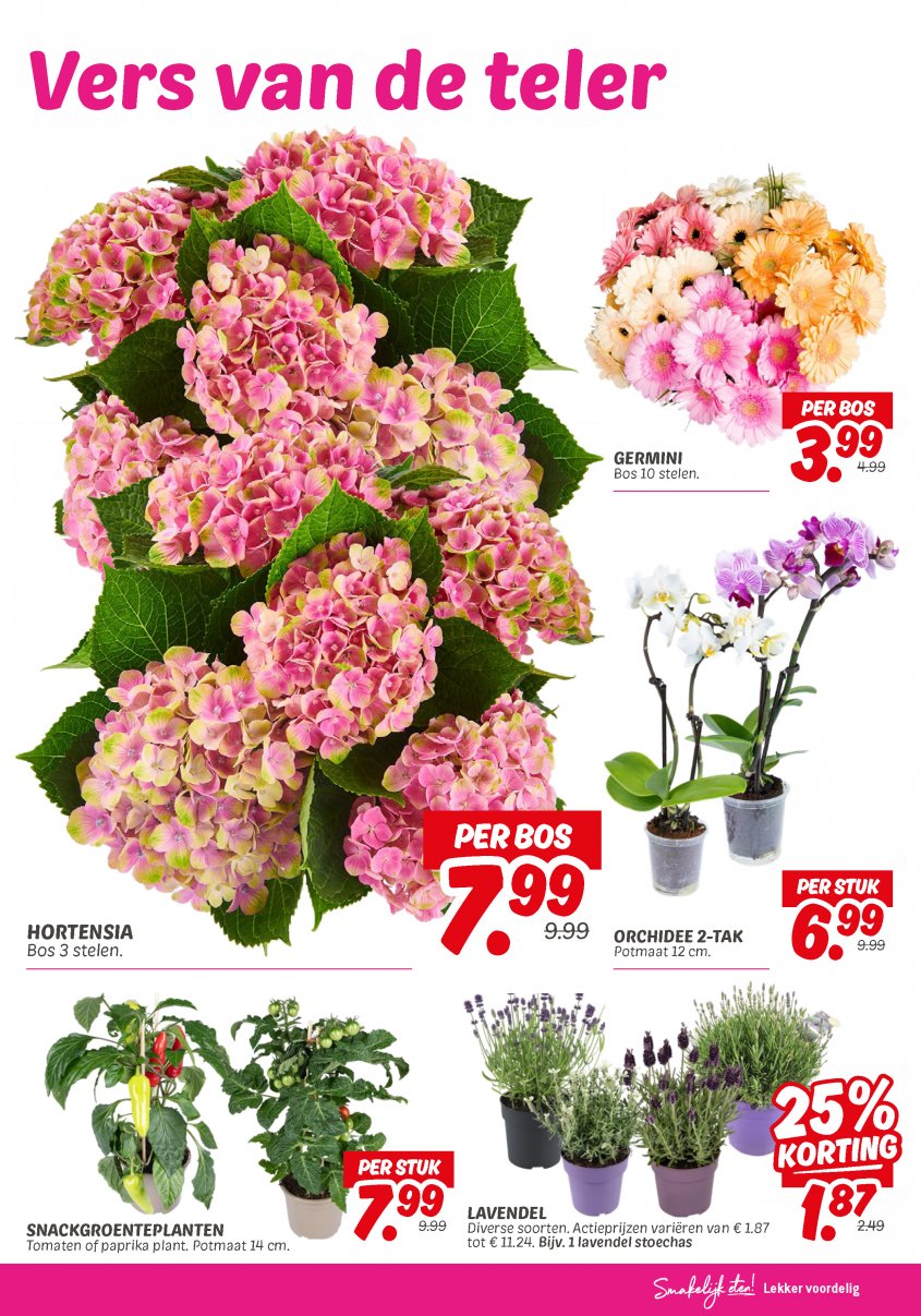 DekaMarkt Aanbiedingen van 10-06-2025 pagina.27