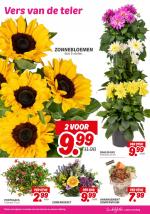 DekaMarkt reclame folder week 25, pagina.23