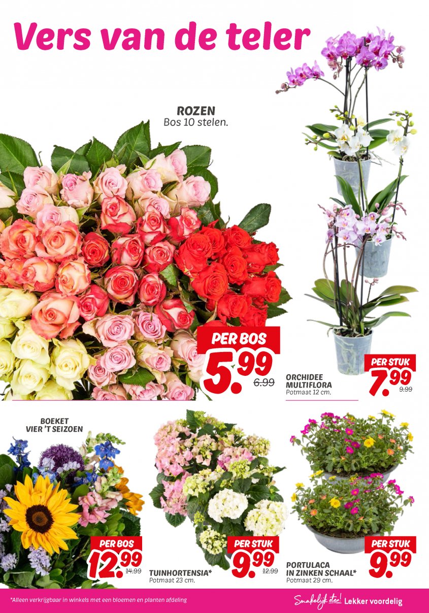 DekaMarkt Aanbiedingen van 24-06-2025 pagina.25