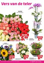 DekaMarkt reclame folder week 26 pagina.25 