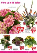 DekaMarkt reclame folder week 27, pagina.25