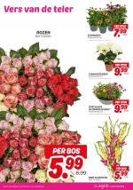 DekaMarkt reclame folder week 29, pagina.21