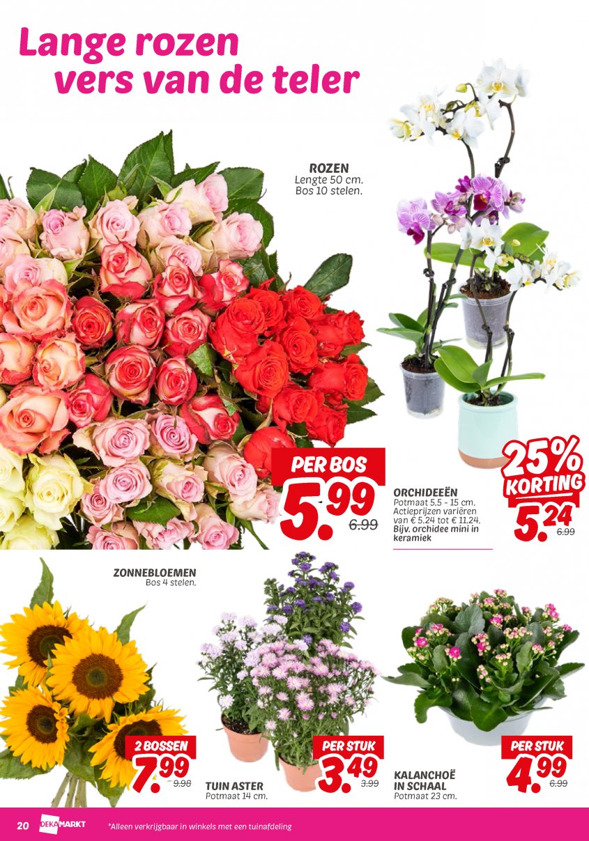 DekaMarkt Aanbiedingen van 05-08-2025 pagina.20