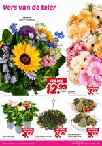 DekaMarkt reclame folder week 33, pagina.21